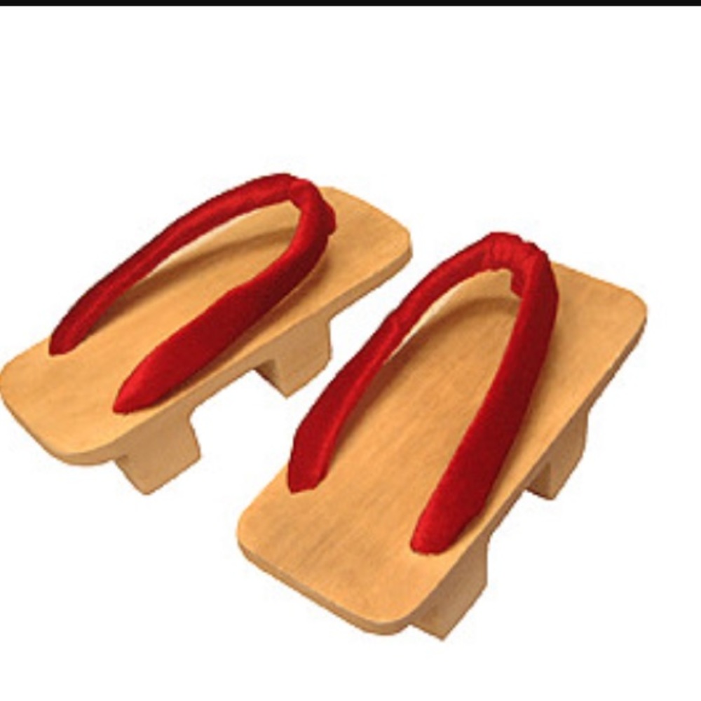 COPY - Traditional Japanese sandals
